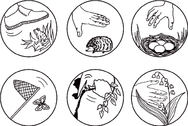 Знаки по экологии для дошкольников раскраски