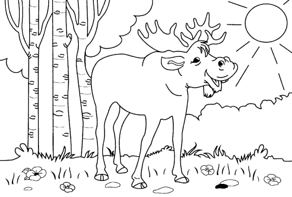 Лось раскраска