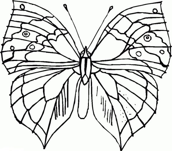 Бабочки для закрашивания