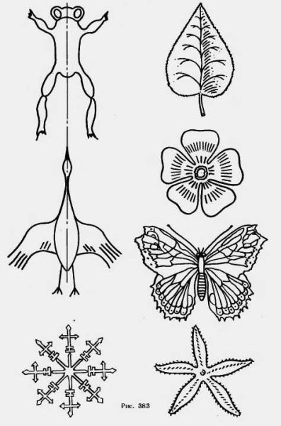 Симметрия в природе и на практике