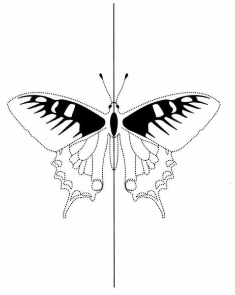 Симметричное рисование двумя руками