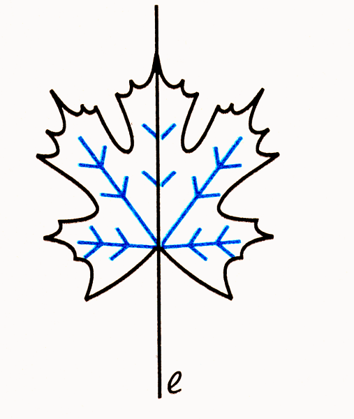 Симметричные рисунки