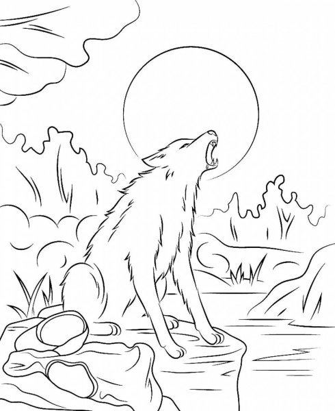 Раскраска волк воет на луну