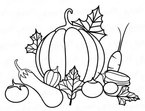 Дары осени раскраска