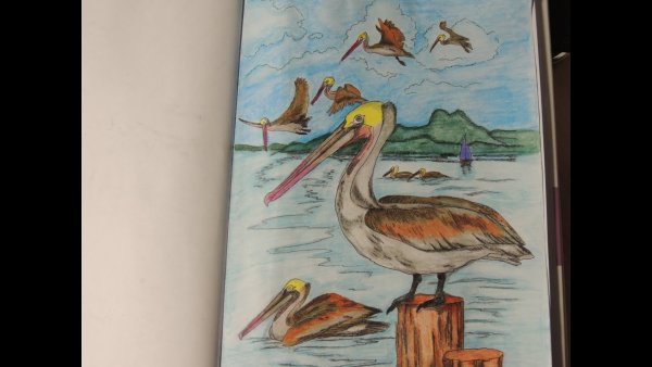 Творческий рай волшебство природы