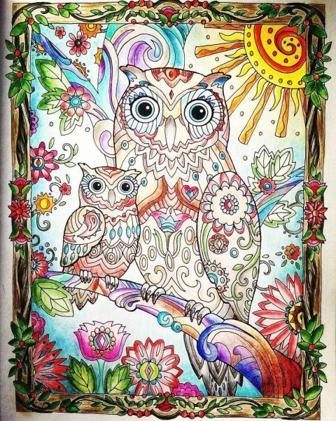 Совушки Марджори Сарнат