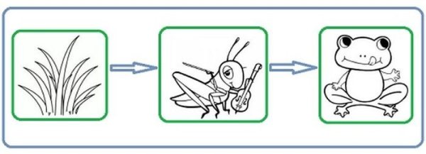 Цепи питания раскраска
