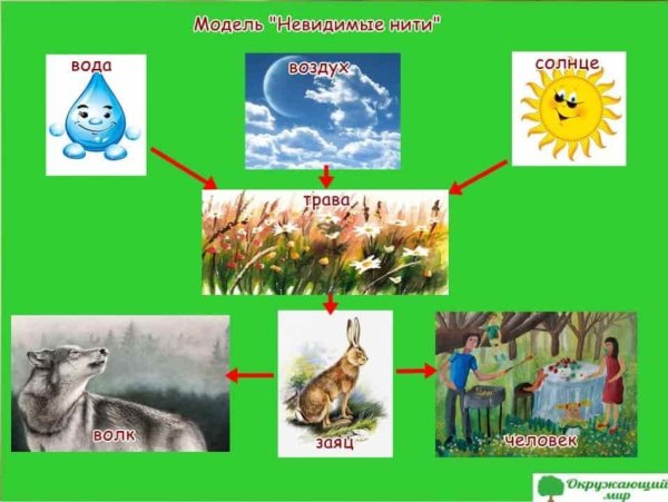 Модель невидимые нити окружающий мир