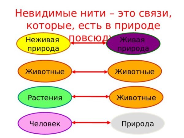 Невидимые нити живой и неживой природы