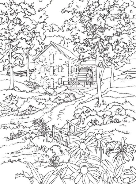 Раскраска природа