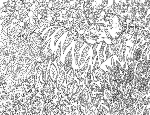 Раскраска антистресс по номерам