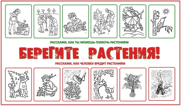 Береги растения