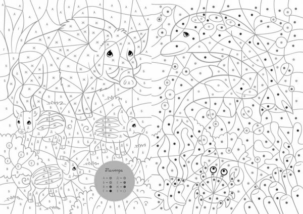 Раскраски по номерамжывотные