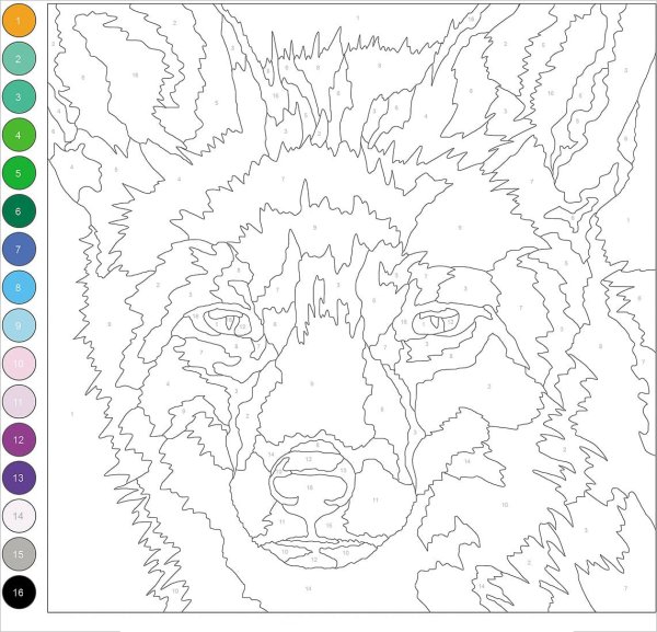 Живопись по номерам схемы