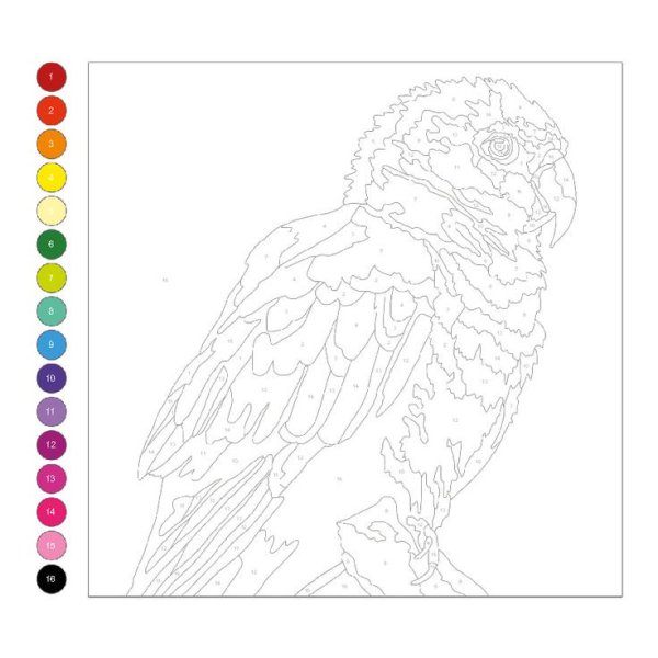 Раскраска по номерам попугай волнистый