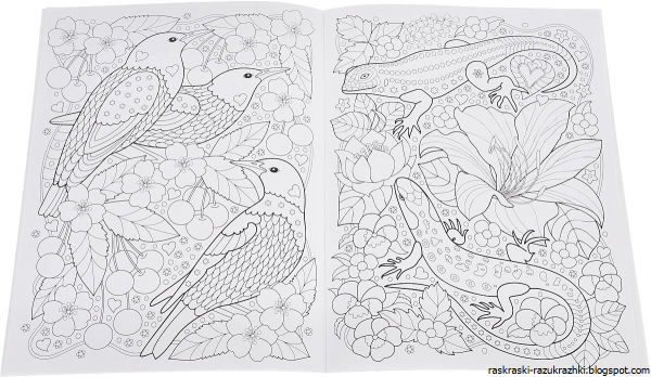 Раскрашивание по номерам для взрослых