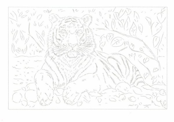 Раскраска по номерам "тигры"