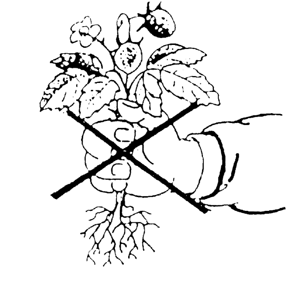 Берегите природу раскраска