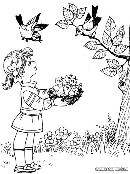 Экология раскраска