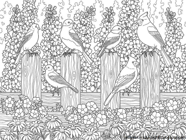 Раскраска цветочный сад