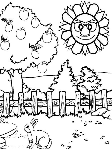 Раскраска природа