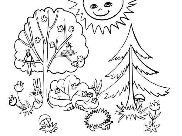 В лесу. Раскраска