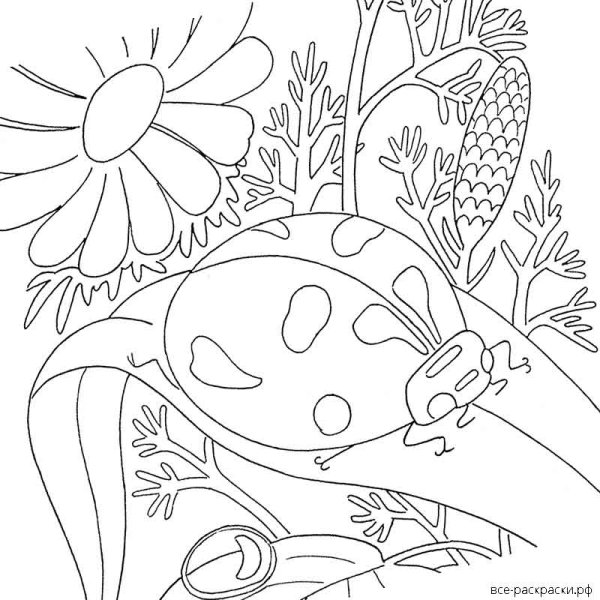 Раскраска красота природы