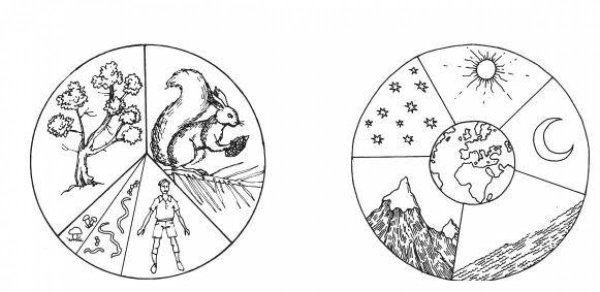 Живая и неживая природа раскраска