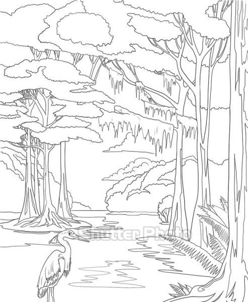 Раскраска водопад