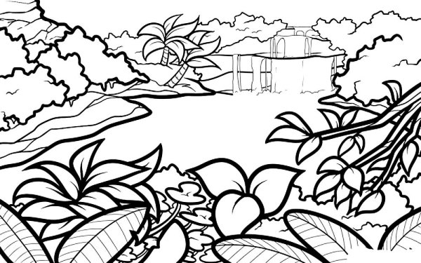 Раскраска природа джунгли