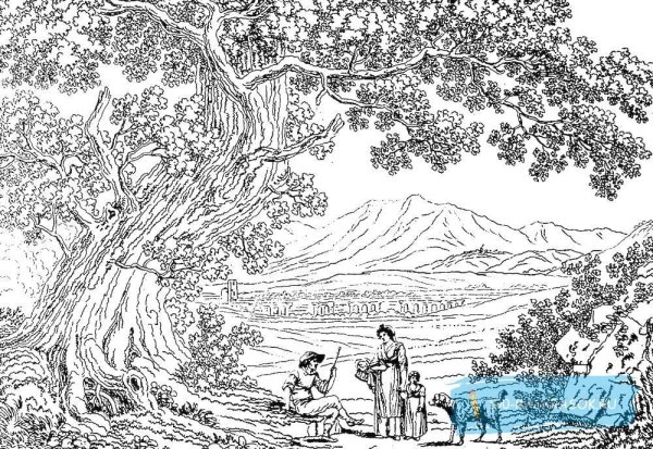 Раскраска природа