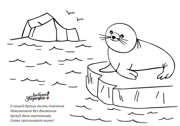 Нерпа Байкальская раскраска