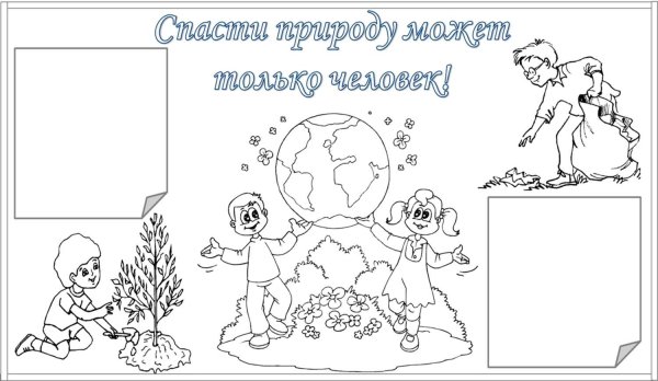 Плакат береги природу раскраска