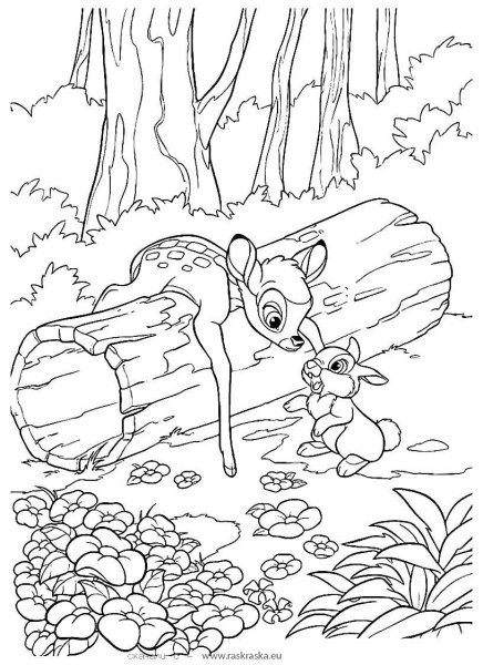 Раскраска Лесные животные
