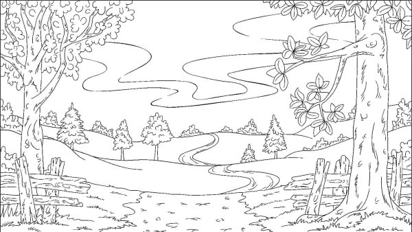 Раскраска лес природа