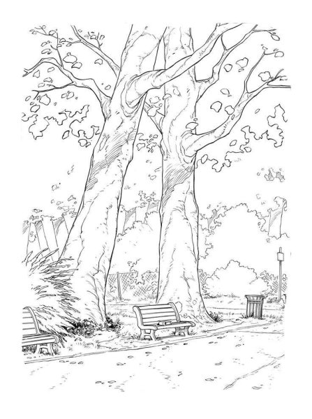 Осенний пейзаж раскраска