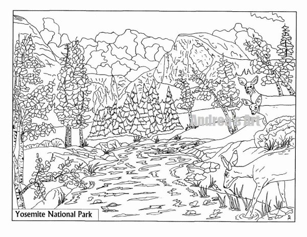 Раскраски по номерам парк