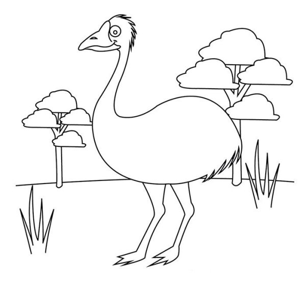 Животные Австралии раскраска