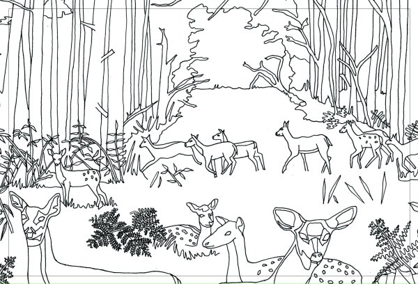 В лесу. Раскраска
