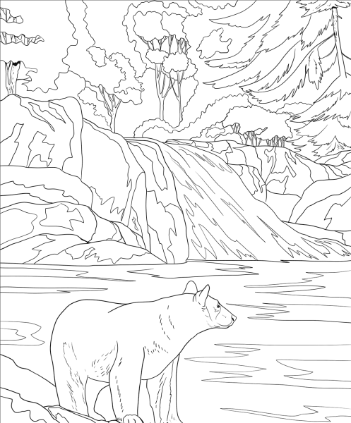 Заповедной природы раскраска