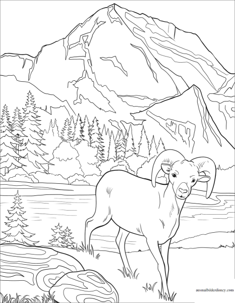 Раскраска природа Казахстана