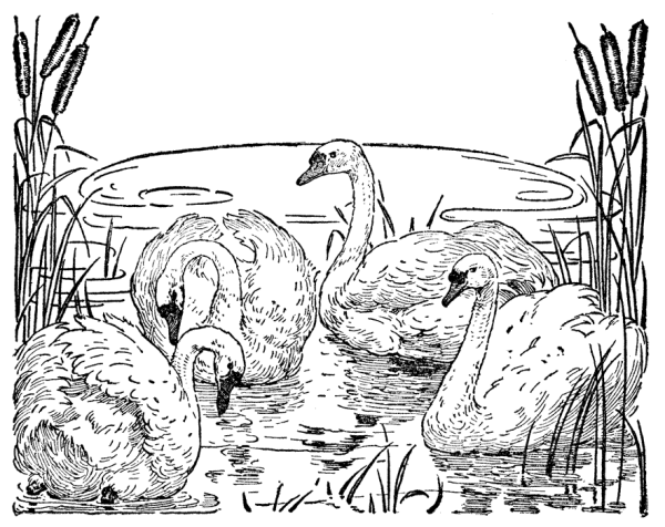 Раскраски природа и животные