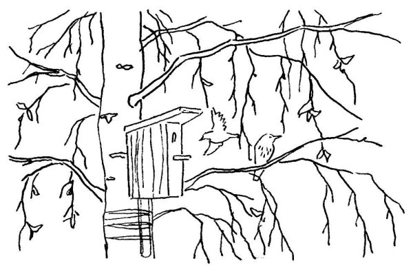 Раскраска пейзаж Весна