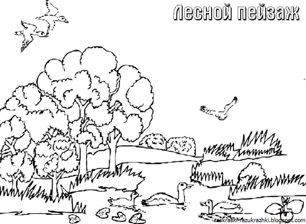 Картинки раскраски пейзаж