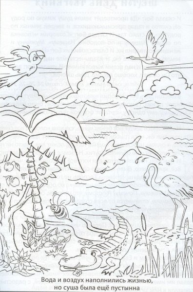 Чудесный мир природы раскраска