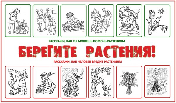 Плакат берегите растения