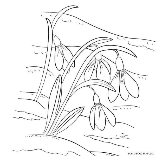 Раскраска Весенняя природа