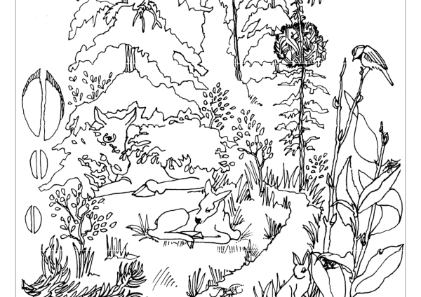 Раскраска Весна в лесу