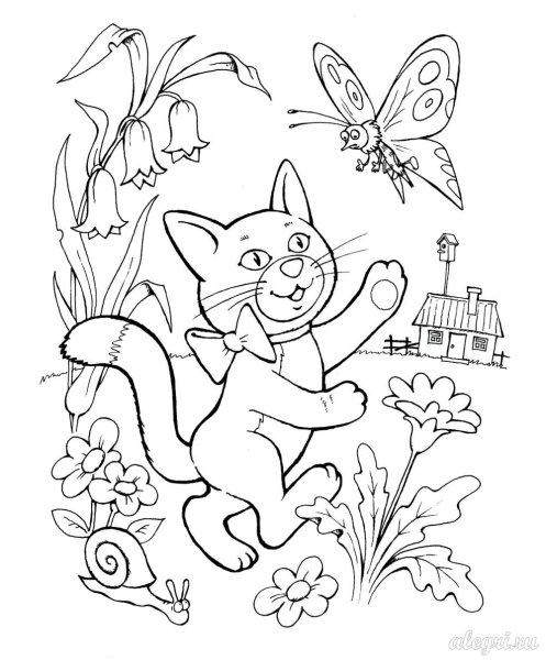 Раскраска кот и бабочки