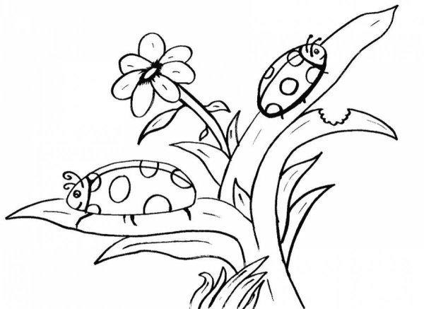 Раскраска природа